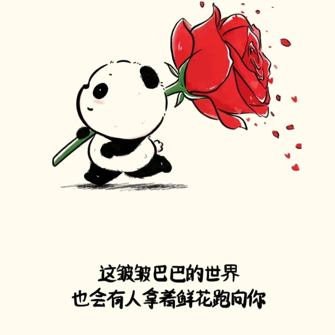 一念花开👑
