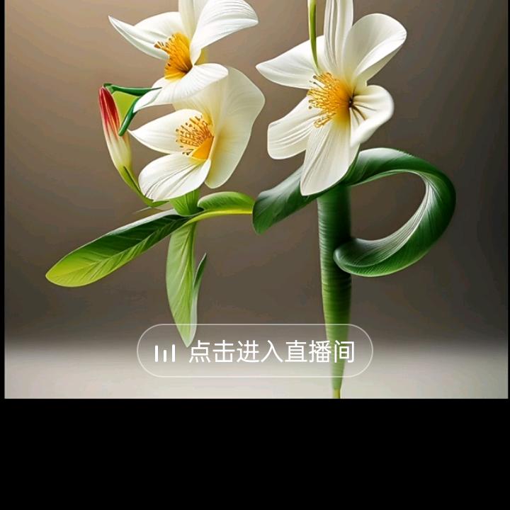 小梅