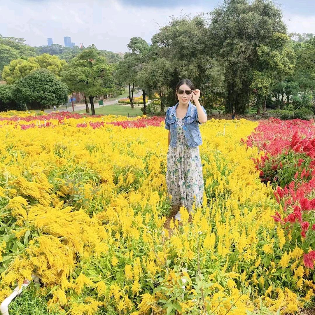 🉐尝所愿🈶🧧🌺拒私聊