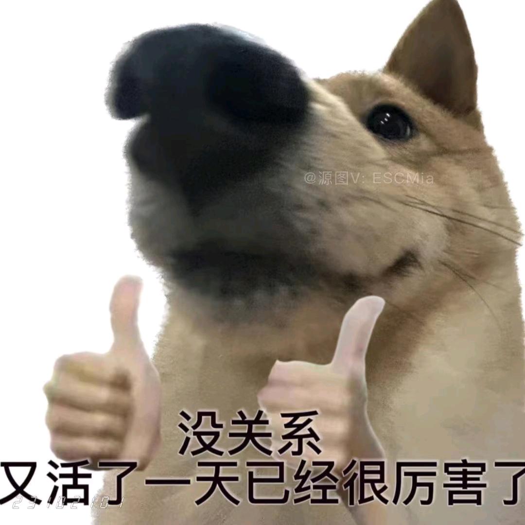 不如背单词