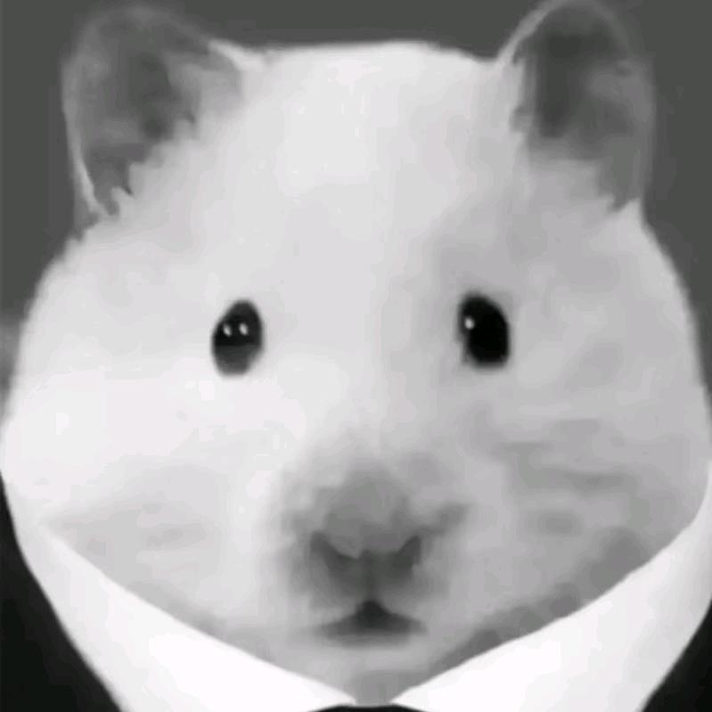 没想好叫什么