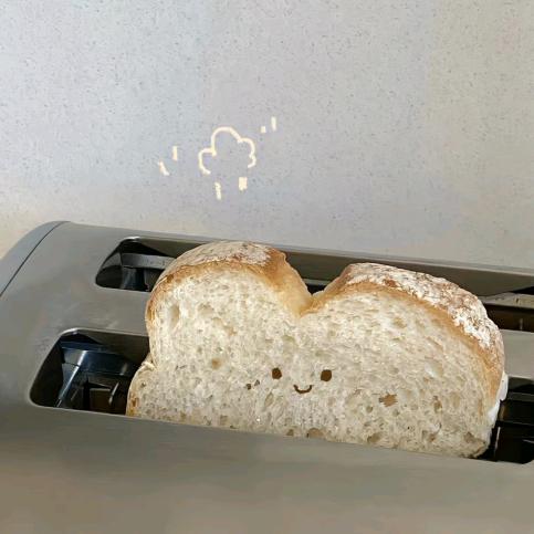 🍞吐司大王