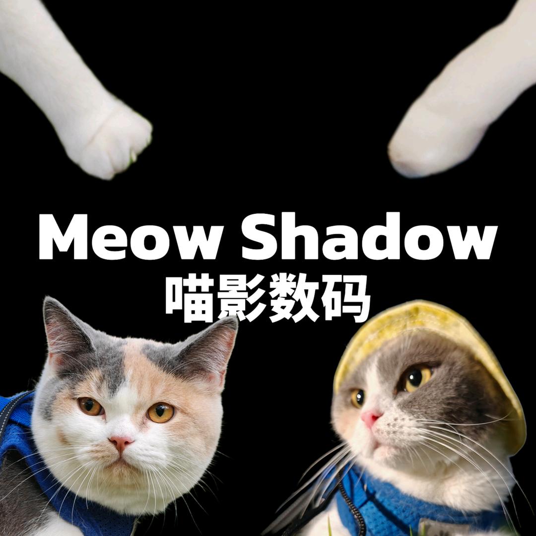 喵影数码·课代表