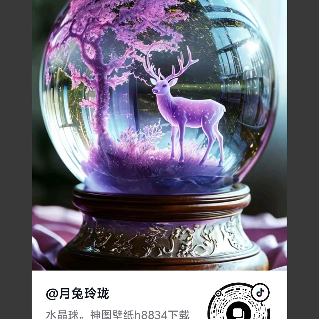 街头霸王梁哥
