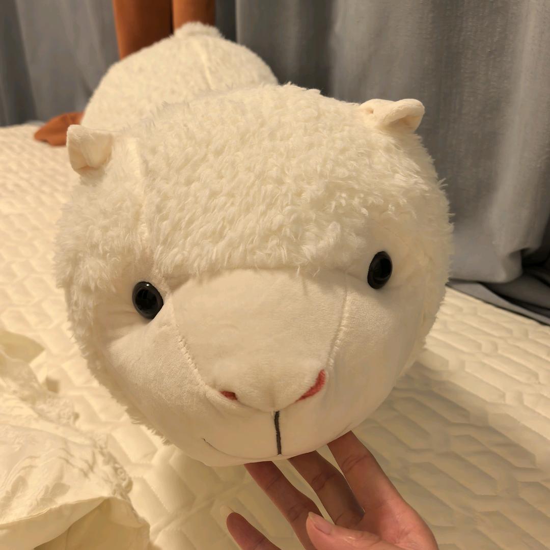 爱晒太阳的土狗