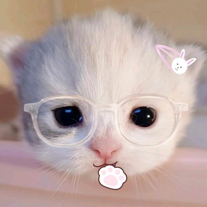 微醺小猫ฅ՞•ﻌ•՞ฅ
