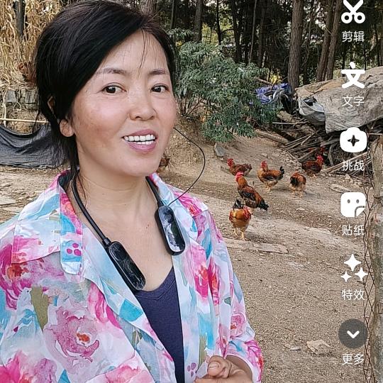 单身鸡妈妈散养包谷鸡