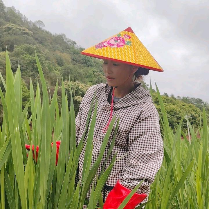 茭小白生鲜优品