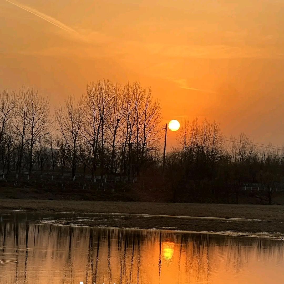 车夫小陆