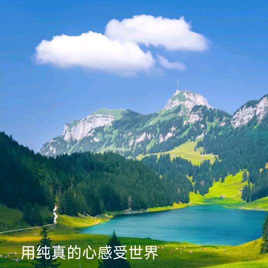 真心贵重