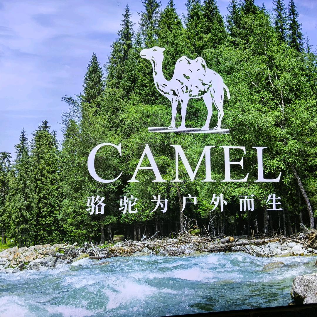 骆驼生活馆明珠