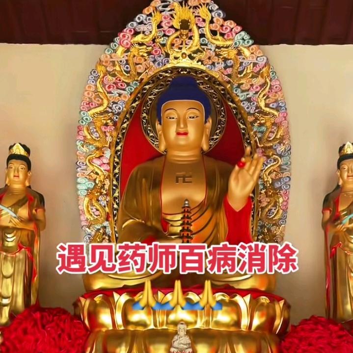 人生巅峰