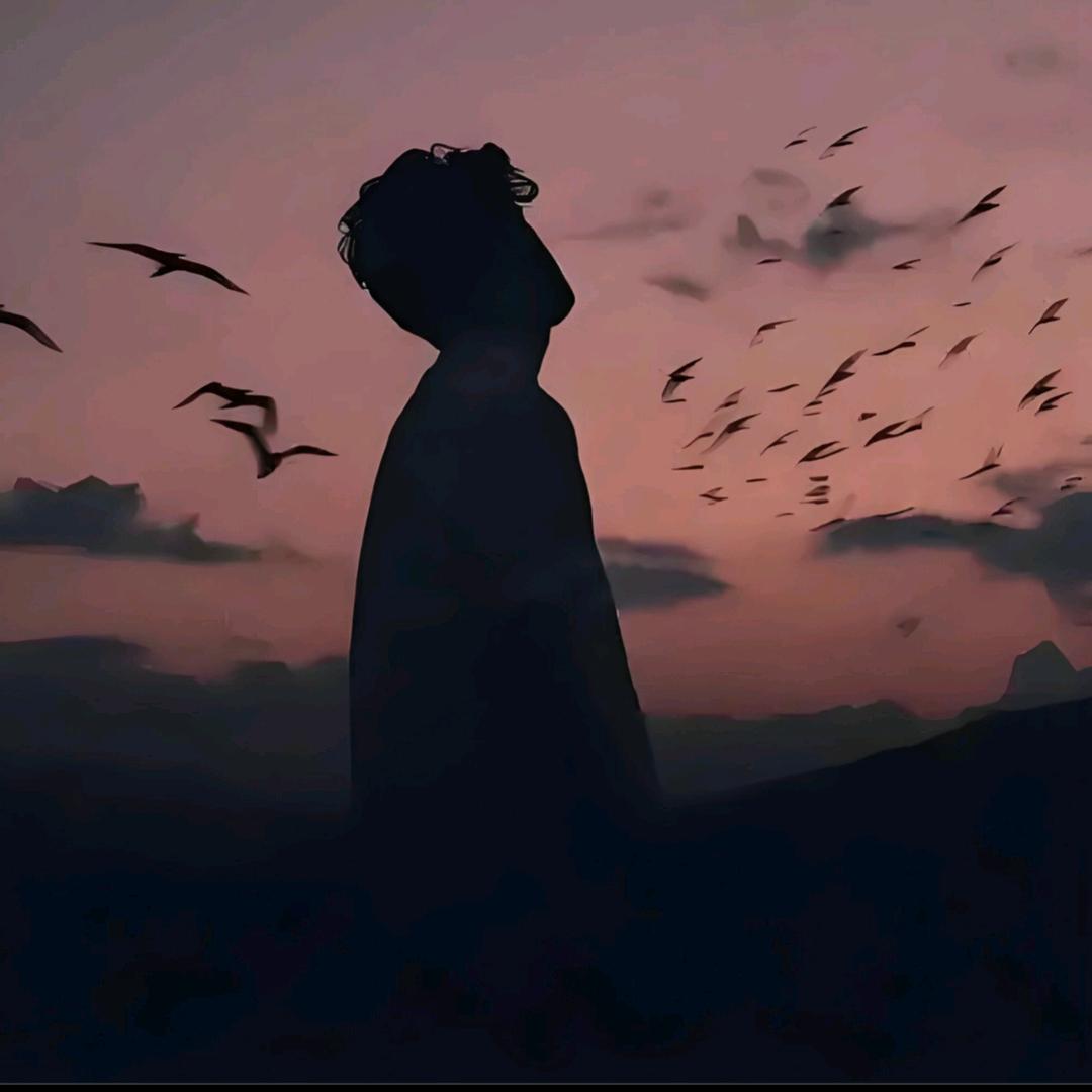 将军hz