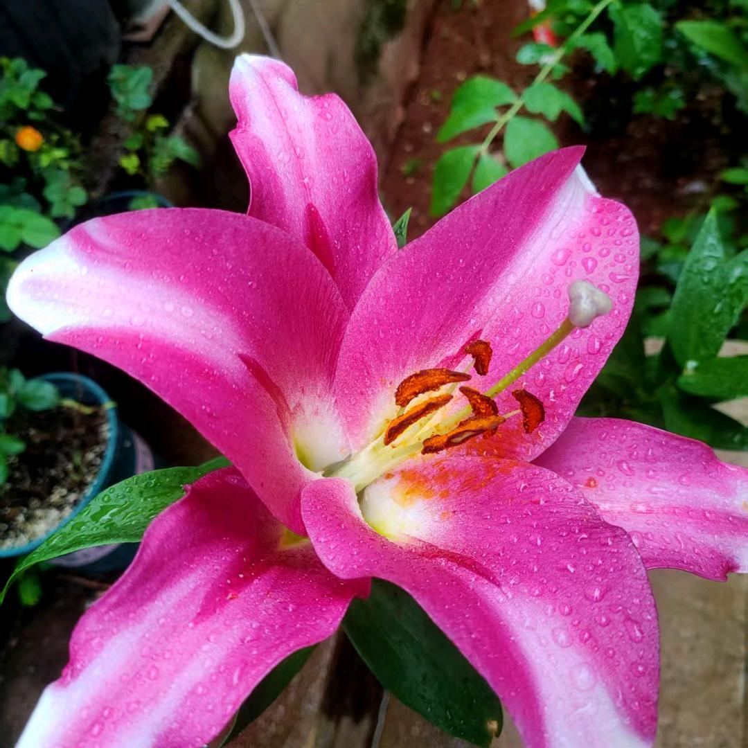 常年招工