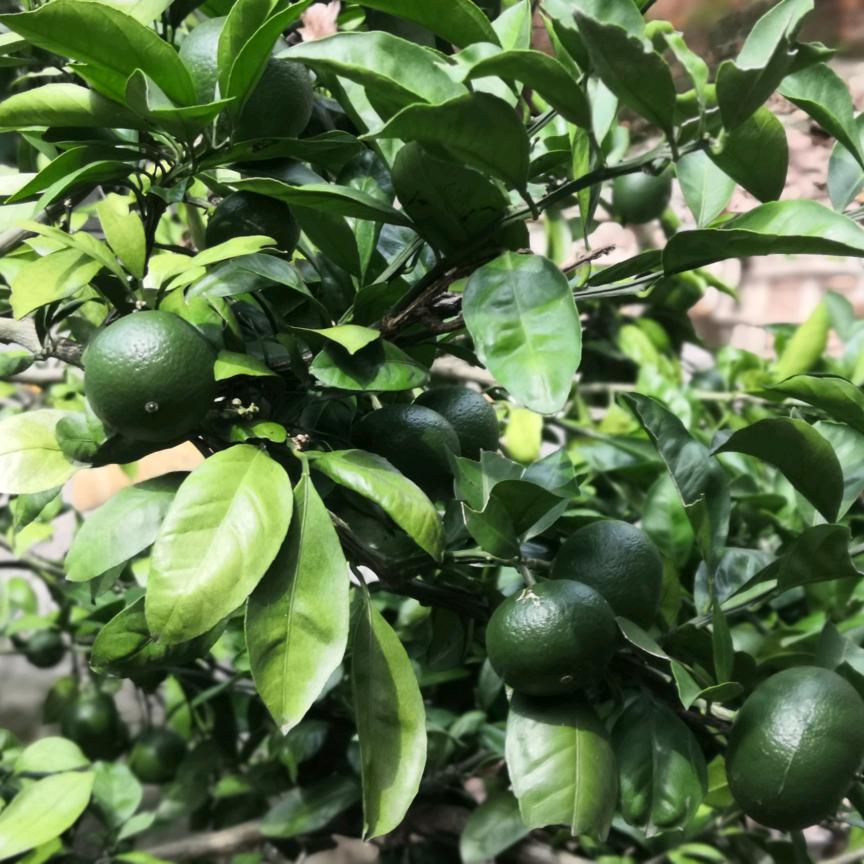 ℒᎭℯོ开心💞ঞᩚ᭄遇见ꦿꕥ້໌ᮨ💕