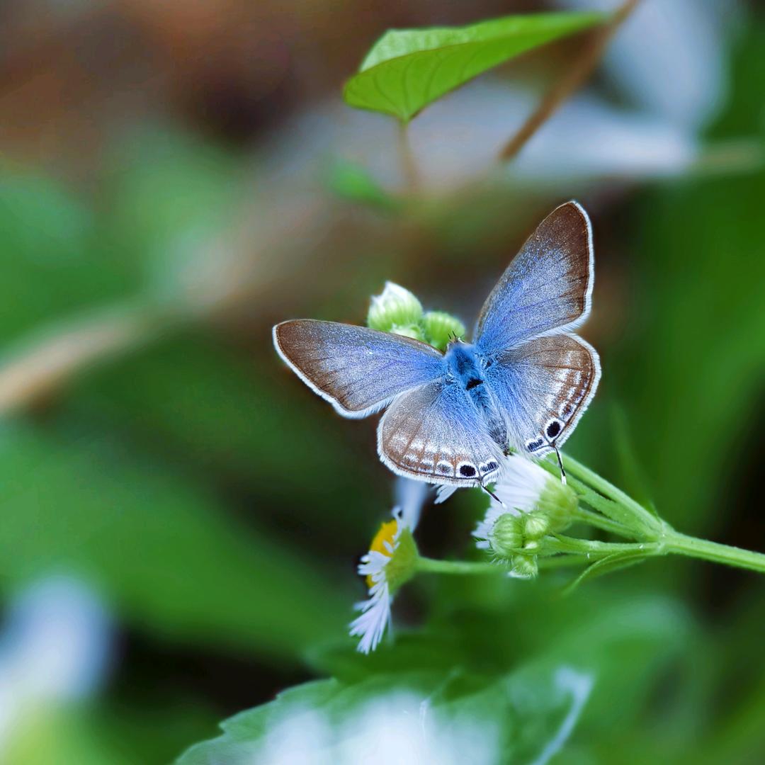 怎么那么多人？上热门了吗？