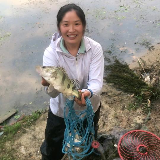 飞盘撒网女侠大师姐
