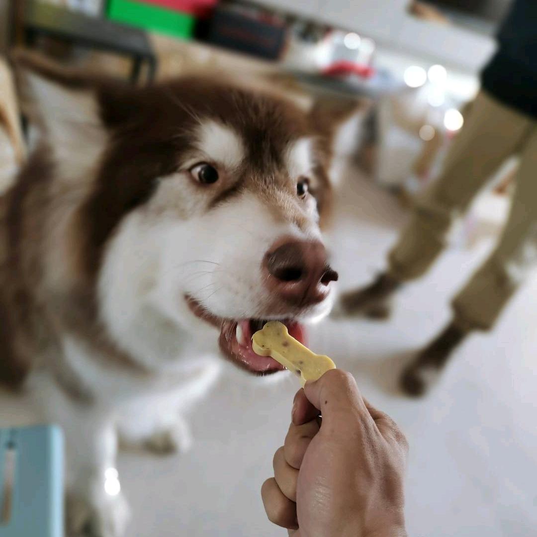 物我两忘