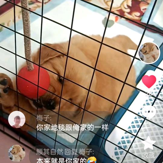 顺其自然