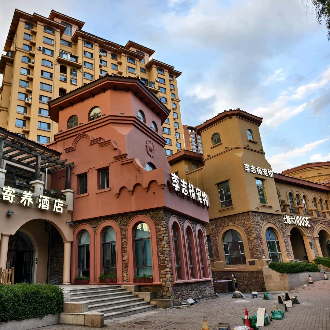 李志杨宠物比熊大House 饲养指导