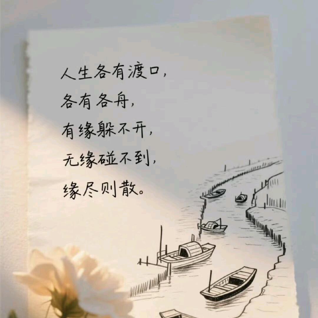 🌸 小周周🌸