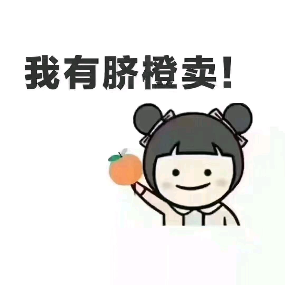 禅心～