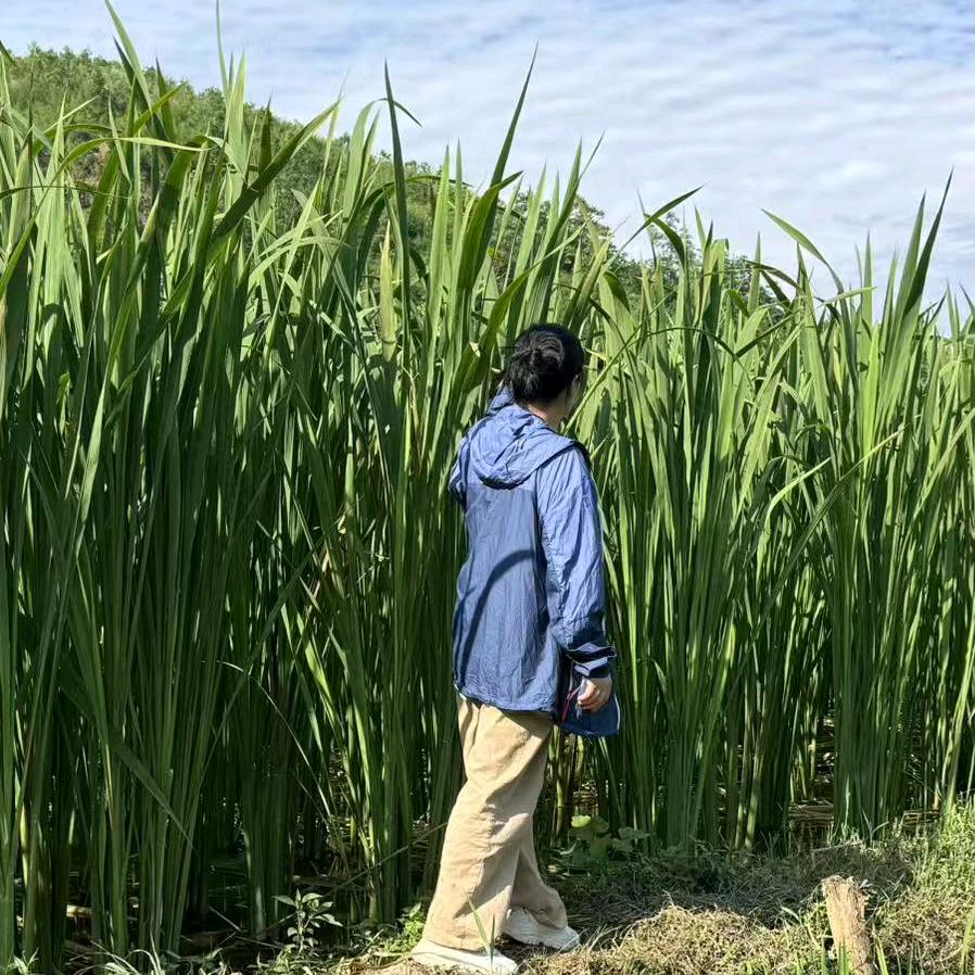 顺其自然