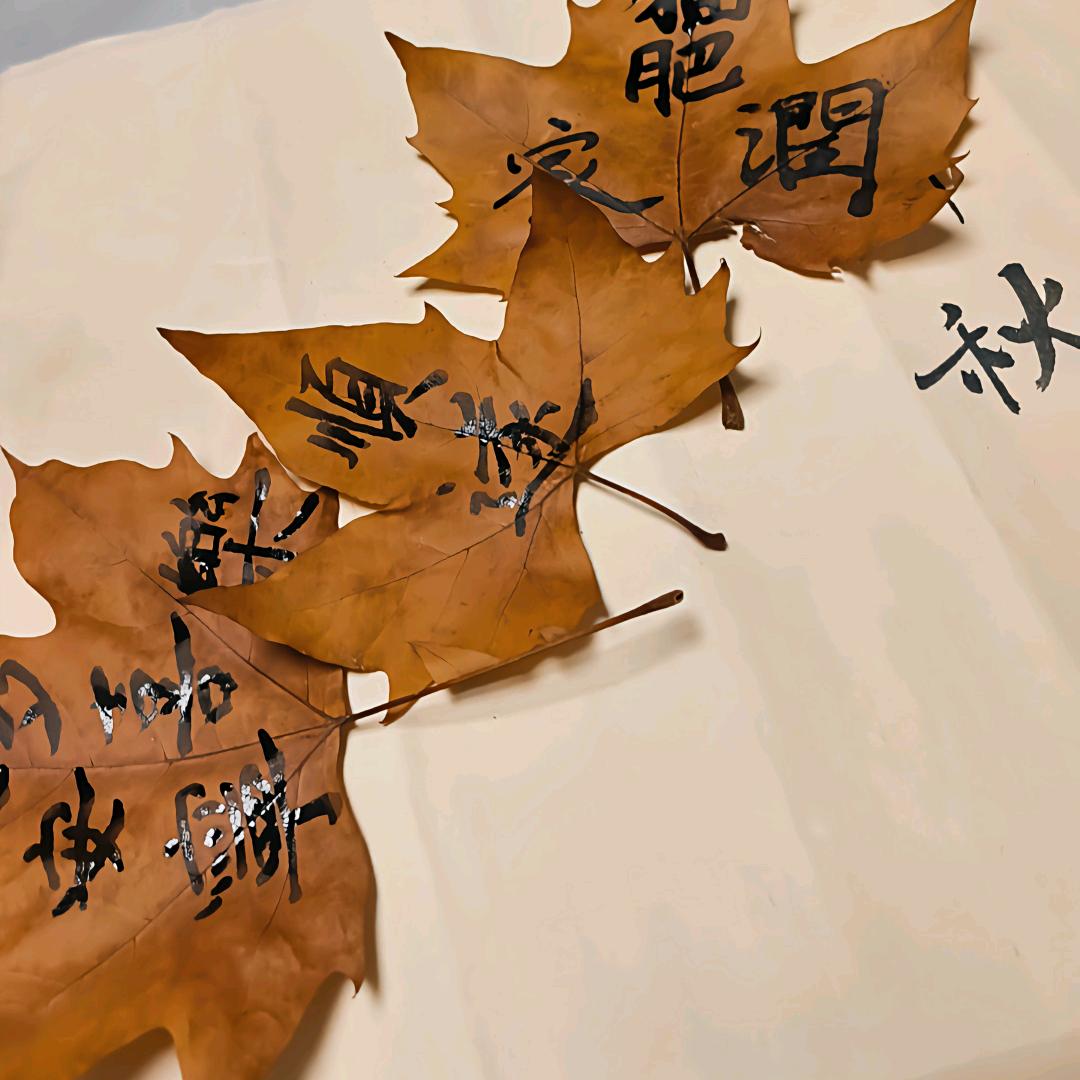 寻秋