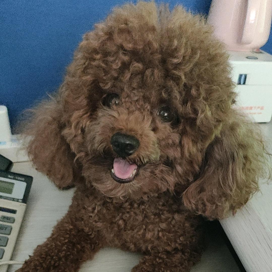 💖ღ妈咪᭄爱ღ球球᭄ꦿ꯭💖