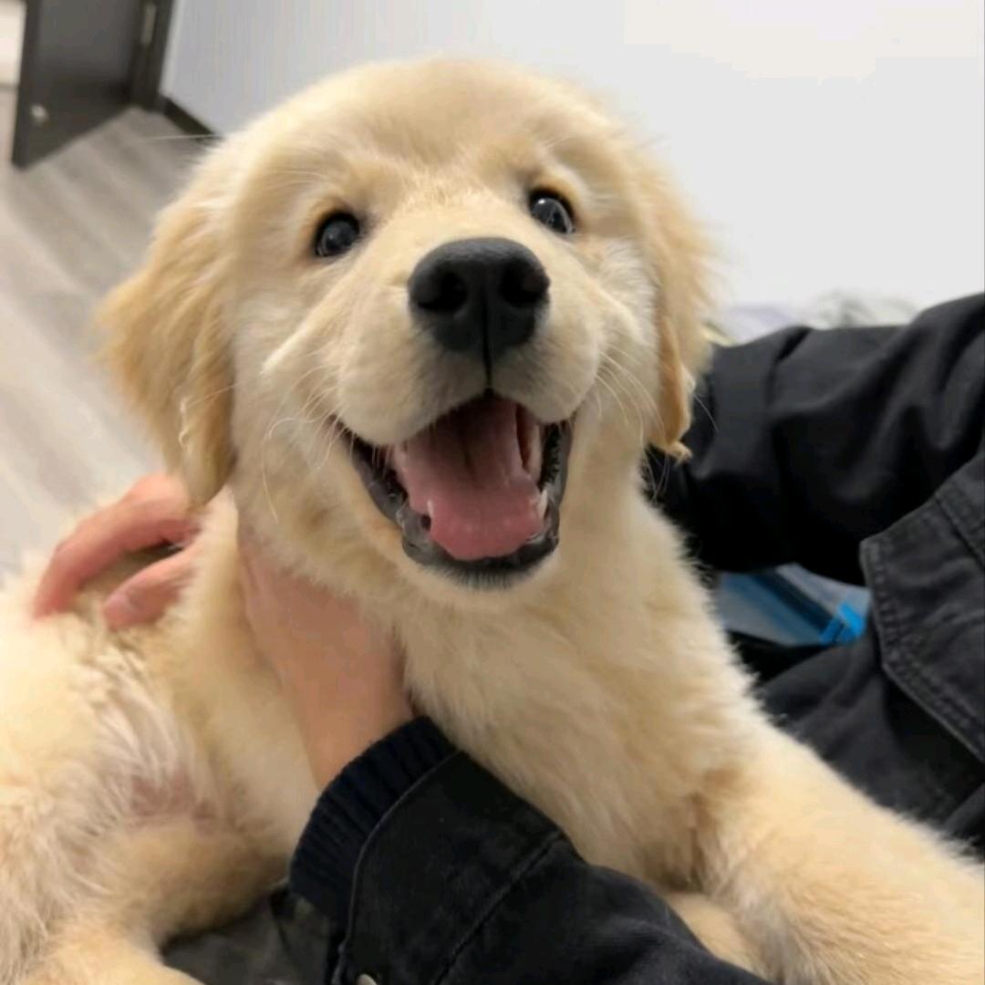 不爱吃苦瓜和茨菇