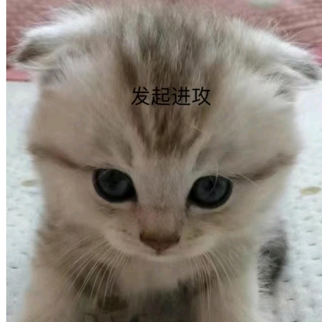 看看头像