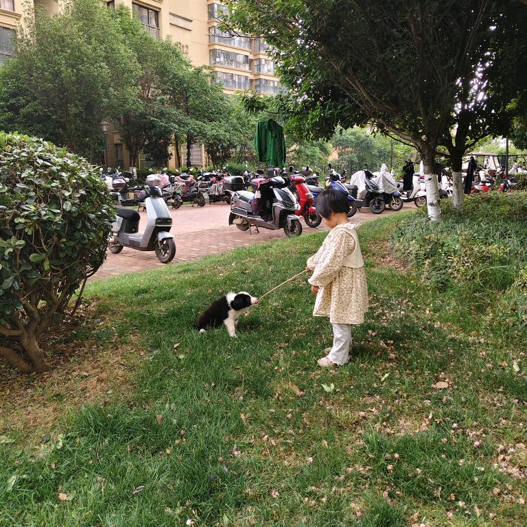 明天会更好
