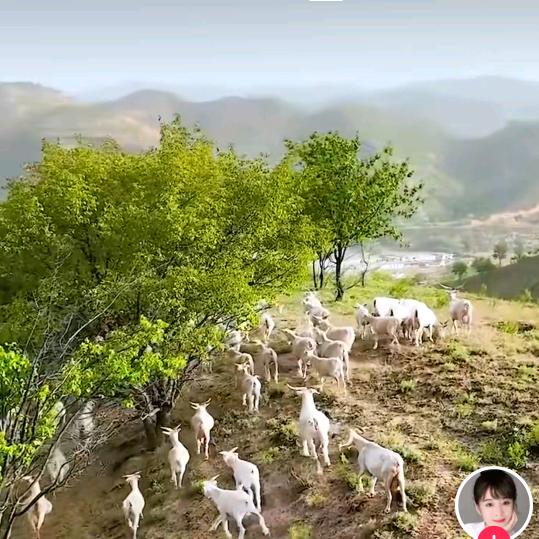 风雨同行