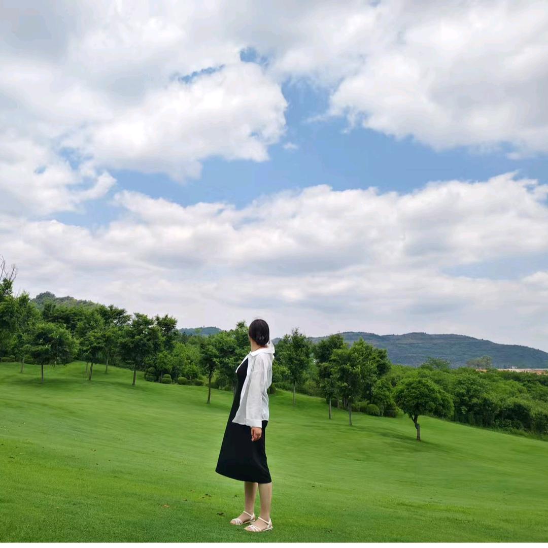 @婚姻走到了尽头（琴儿）