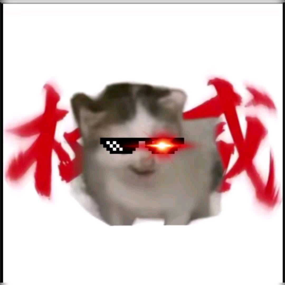猫meme小剧场