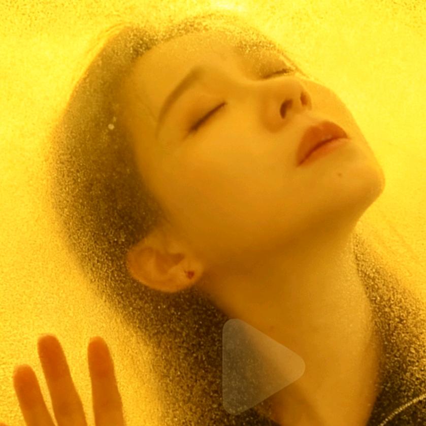 我的世界不需要你来懂