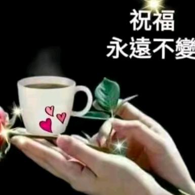 🌴感恩有你💕