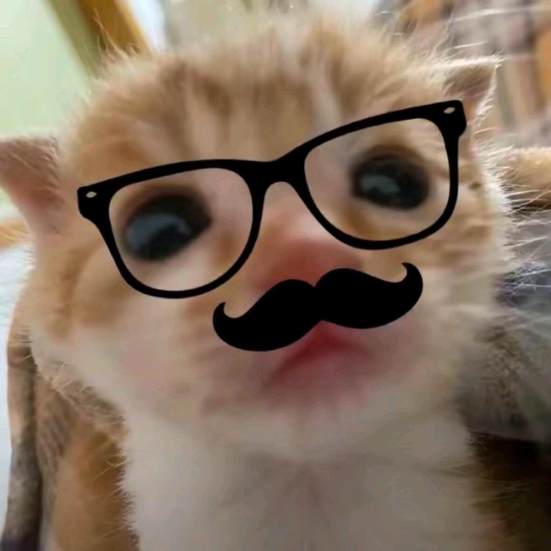 人生真是炒蛋