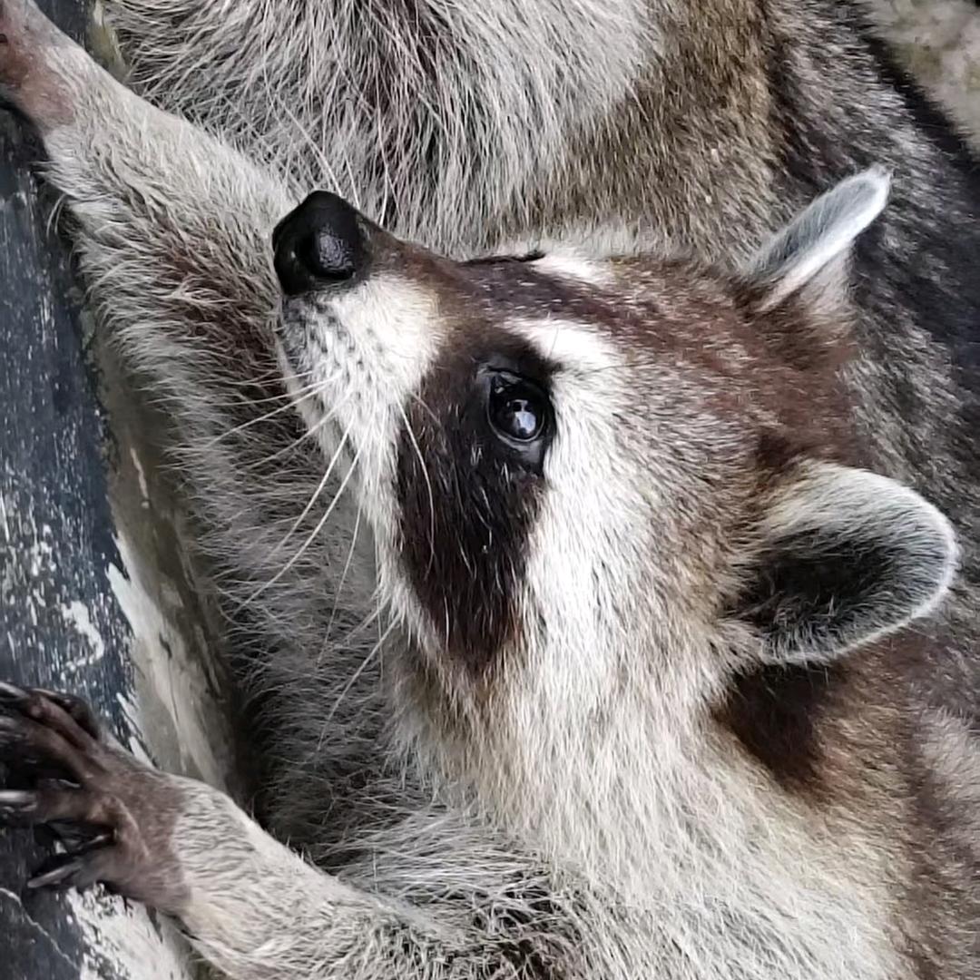 mmmmmmm