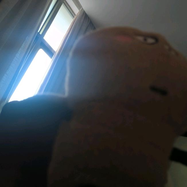 晨希希希希