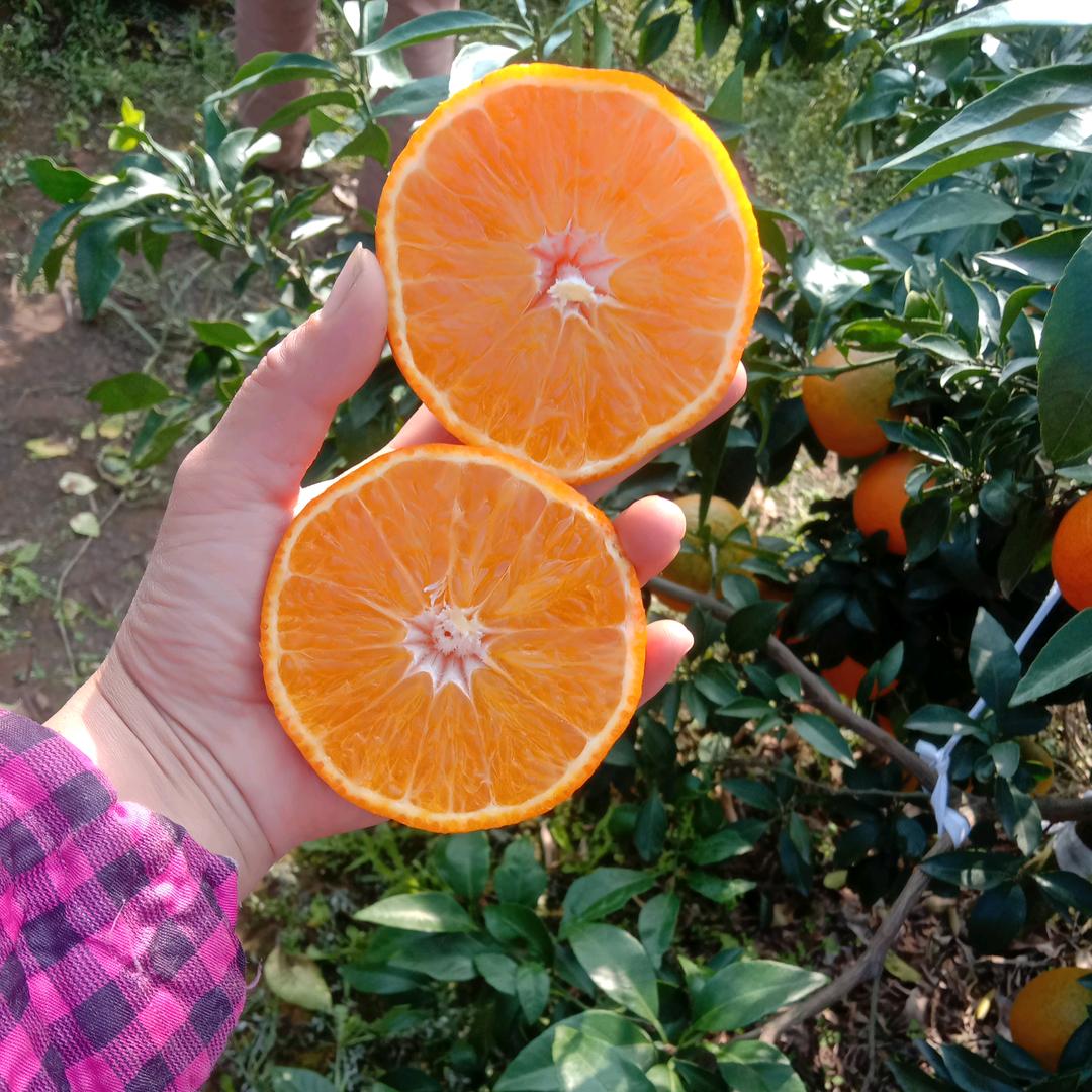 李小妹，初心不变