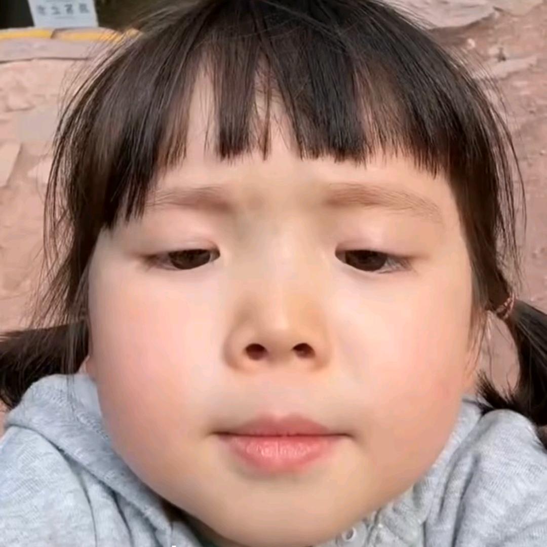 紫荆花