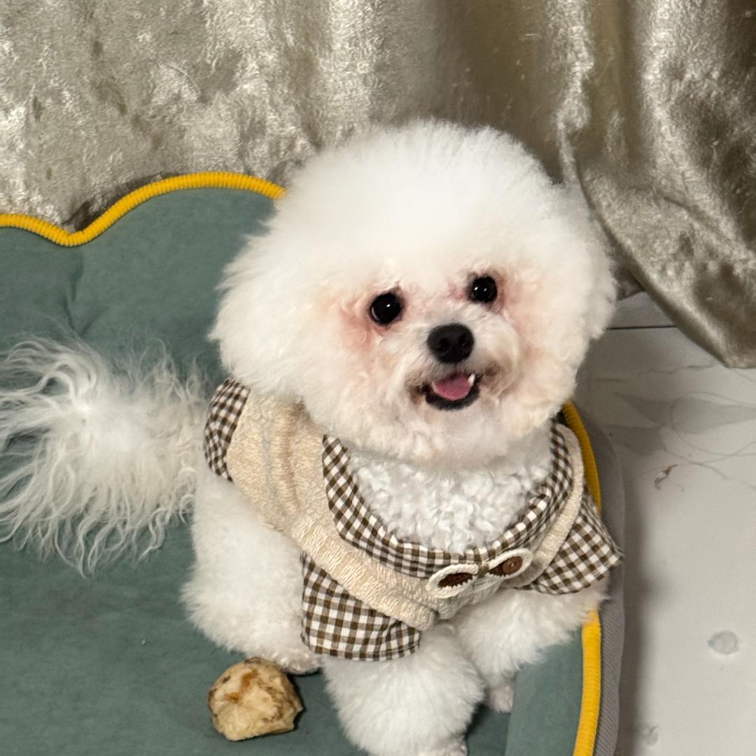 仔仔呢(开心版)