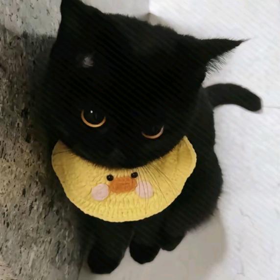 XX｀