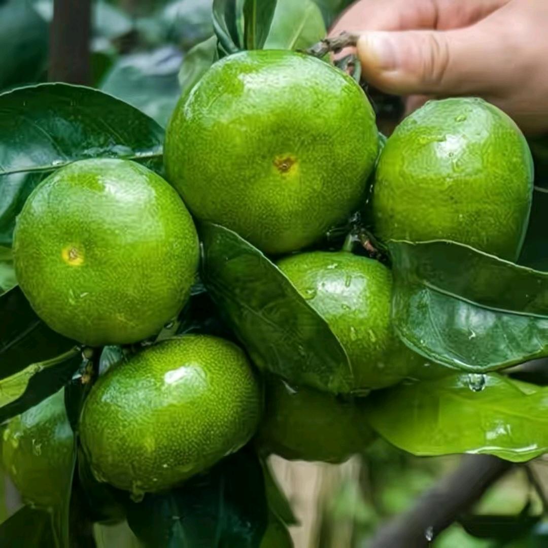 谁懂我的心❤️