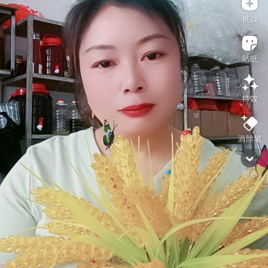 唐糖
