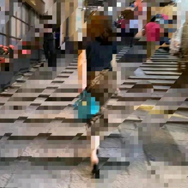 水蜜桃酱酱的迷迭香