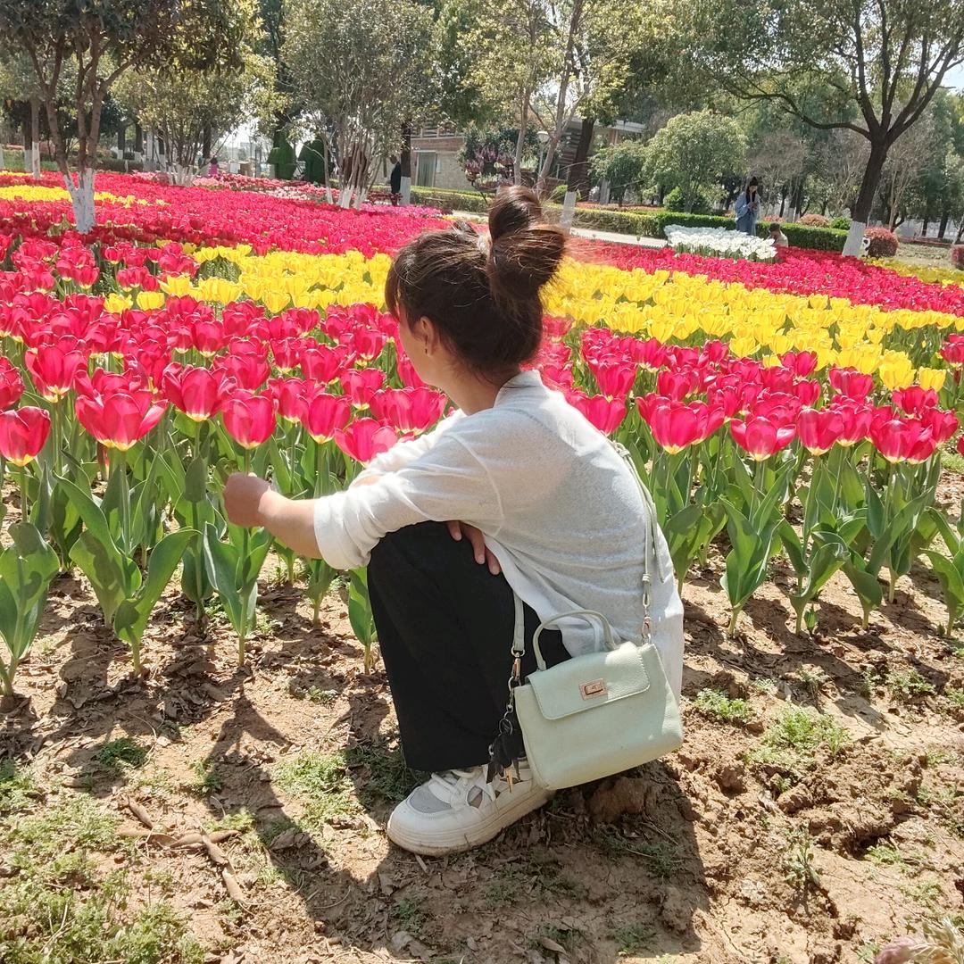 影子