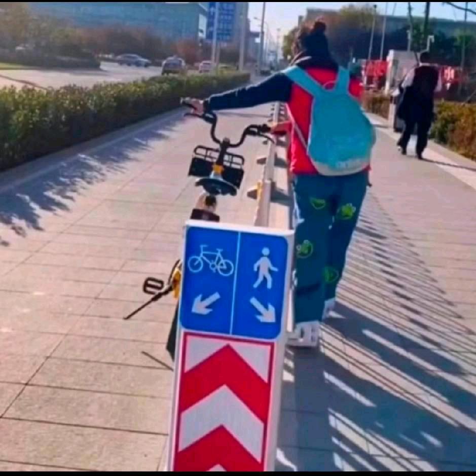 老实人