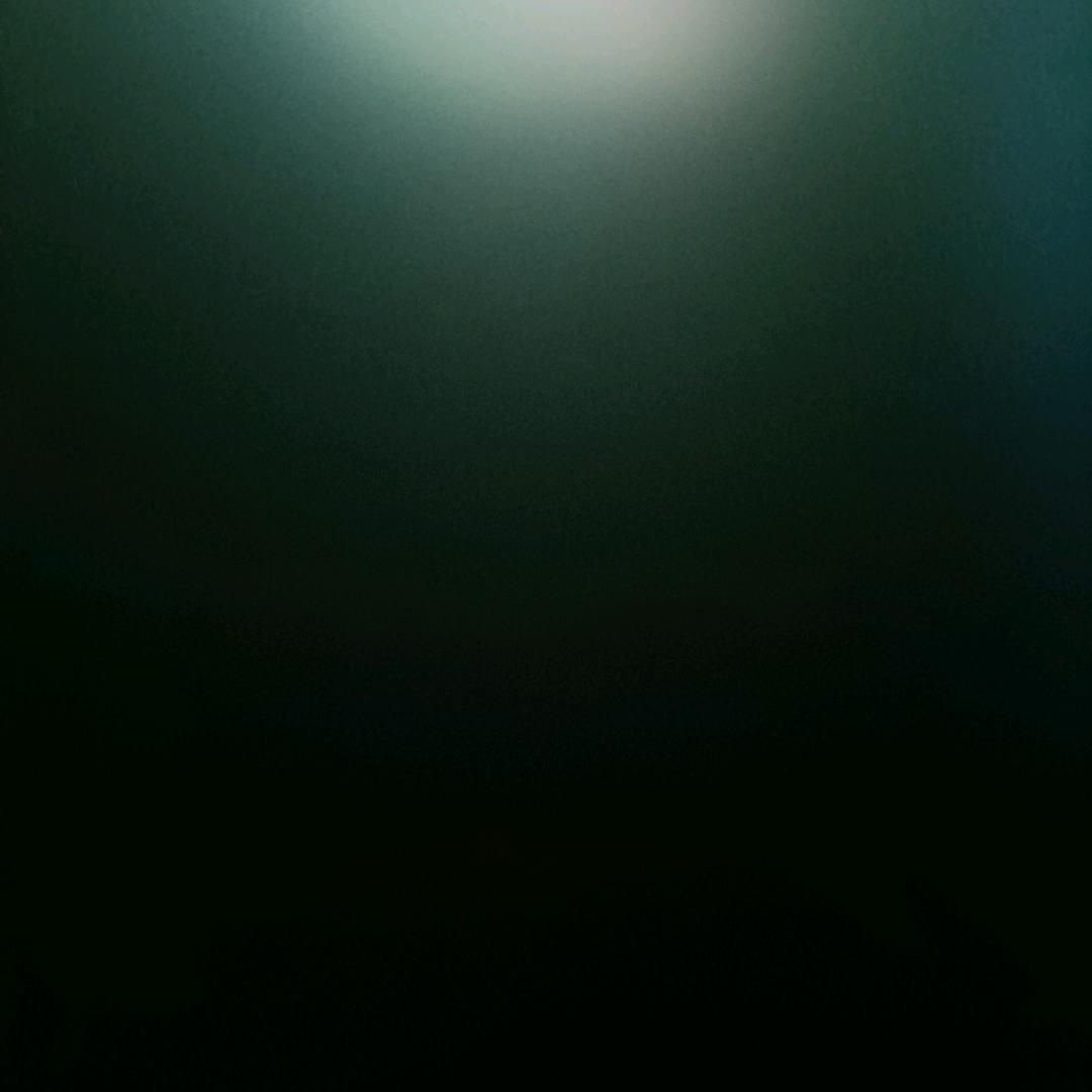 专业粘砖✔^O^安